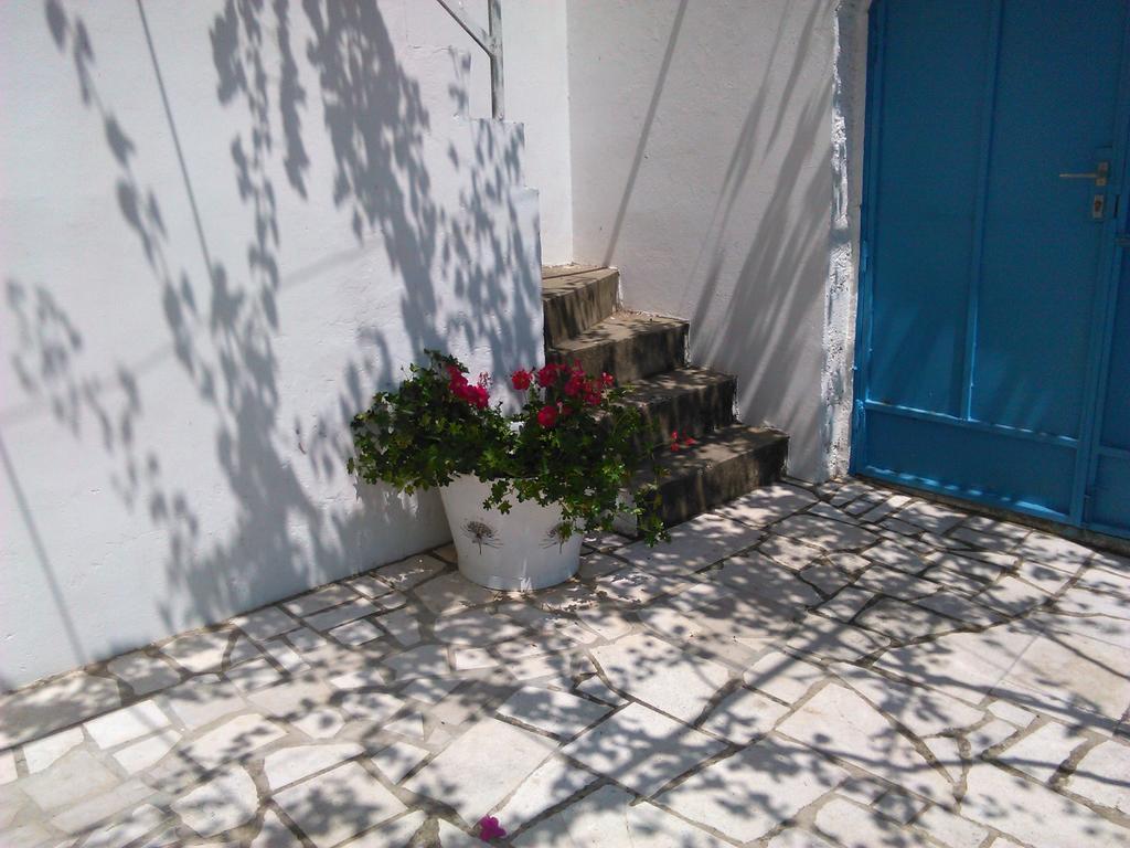 Luna * Dubrovnik